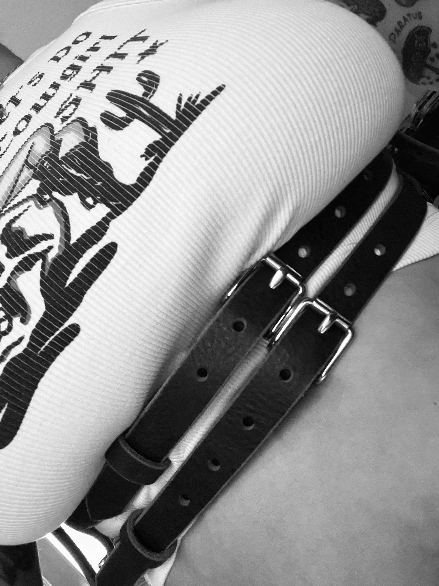 $10 RAFFLE-2 strap leather harness